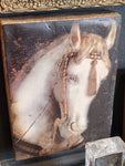 Sid Dickens "HORSE"