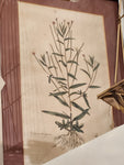 18 C. Botanical
