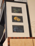 Orig. Oil