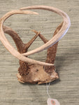 Antlers