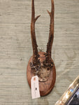 Mini Mount
