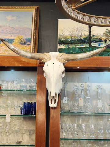 Long Horn Skull