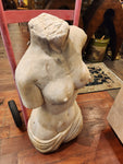 Female Torso
