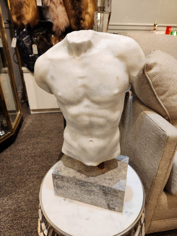 Male Torso