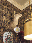 4PT. Taxidermy