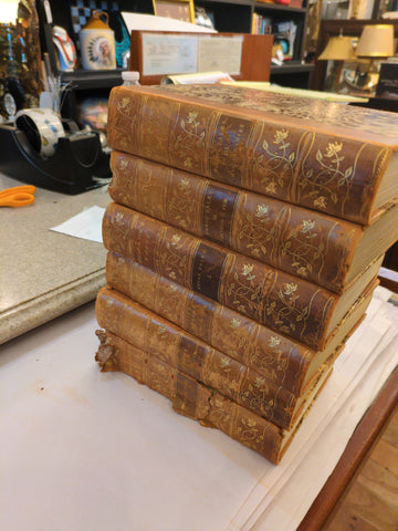 Set of 6 Edger A. Poe's leather books