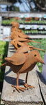 Rust Set Of 5 Birds, Metal Flower Wall Art - Watson & Co